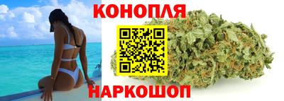 прущие крисы Донецк