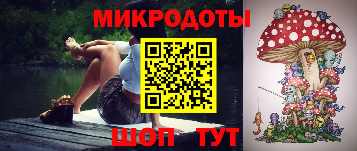 Кириши  Псилоцибиновые грибы Psilocybe  Вход с VPN 